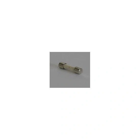 FUSIVEL TIPO G RETARDADO 250V T 10A 5X20MM - IEC 60127-2/3