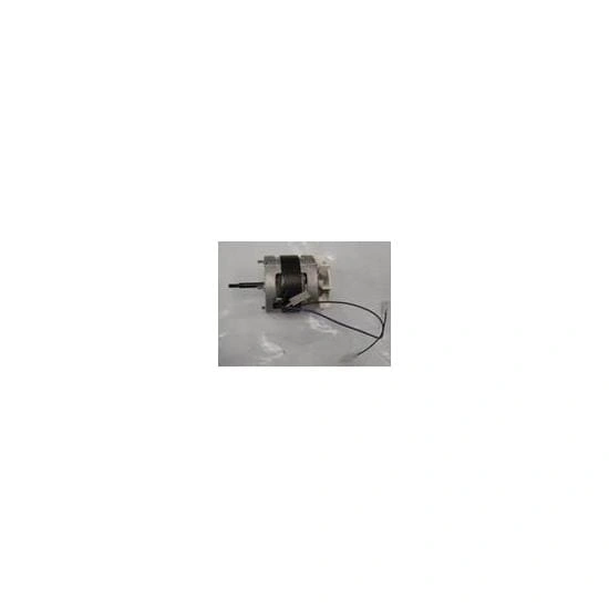 MOTOR 1/30 CV 60 HZ 110/200V