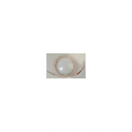 SENSOR DE TEMPERATURA PT100 4000MM (LASTRO )