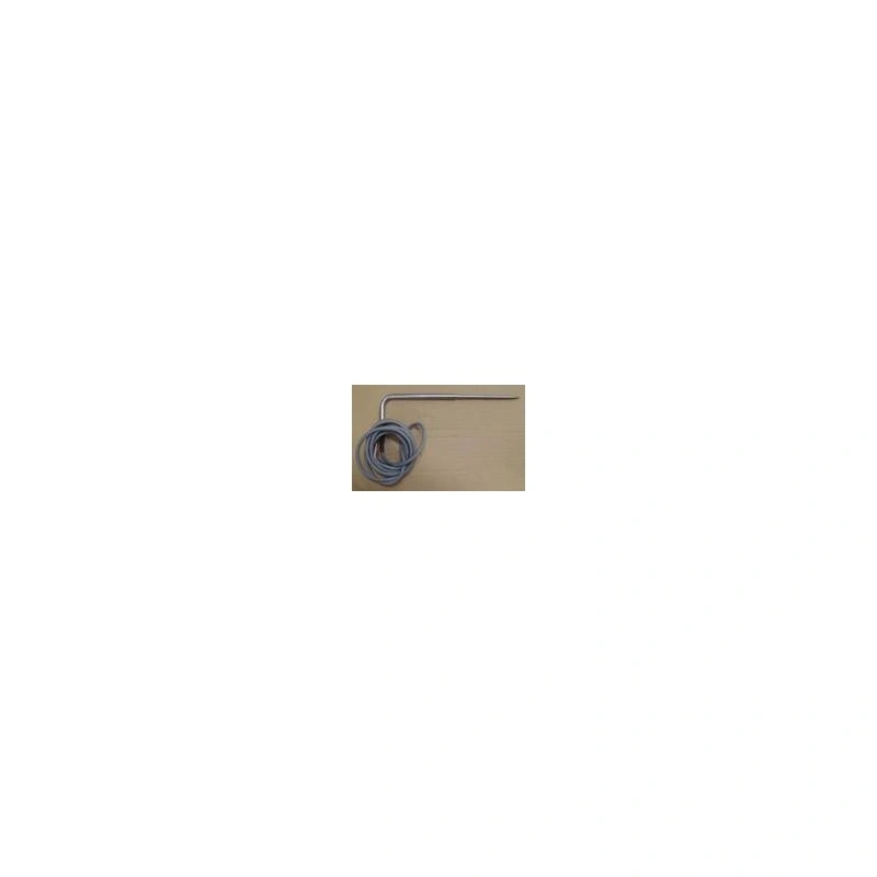 SONDA (ESPETO) PTC SIL 2F2,5M X6X100