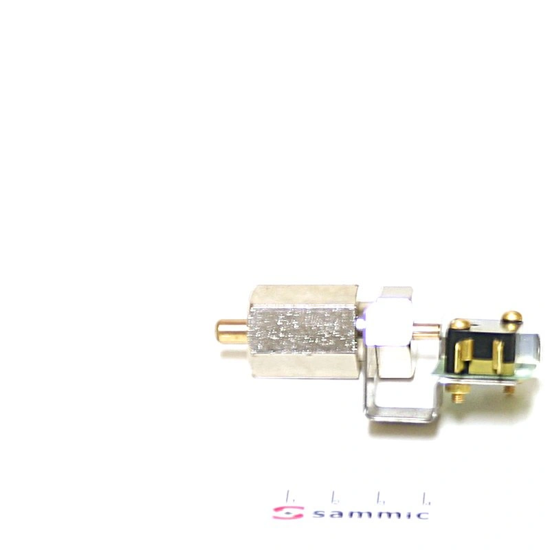 Microrruptor Cod 2059018