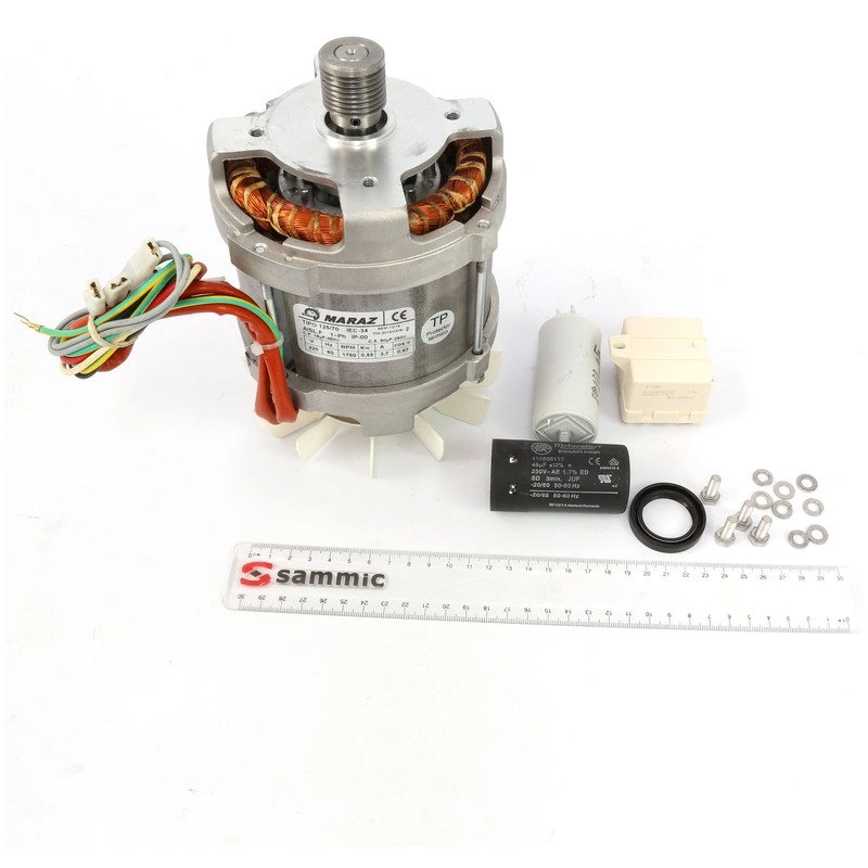 MOTOR CA301/401 220V MONO 60HZ COD 2059362