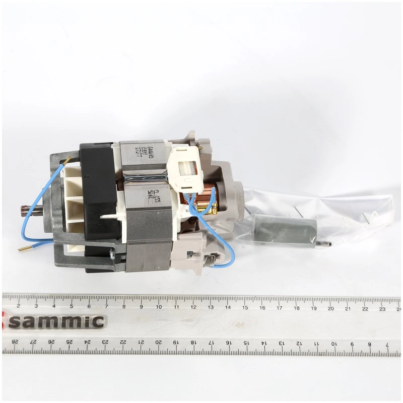 Motor Tr Bm-270 230v 4039145